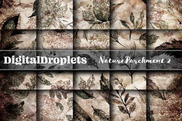 Elevate Your Designs with Nature Parchment Vol. 2