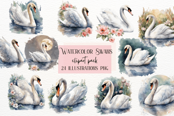 Watercolor Swans: Elegant Sweet Baby Swan Clipart for Designers